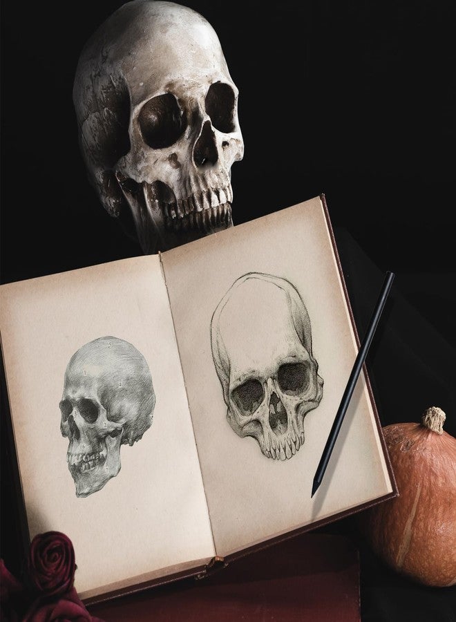 Haniforever 2-Pack Mini Skulls Décor, Human Skull Model Anatomy Skull Model for Studying,Tiny Resin Skulls, Drawing Model Skull Figurine, Small Skull Head for Students,Art Gift - Image 4